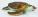 Bullyland - Broasca testoasa de mare